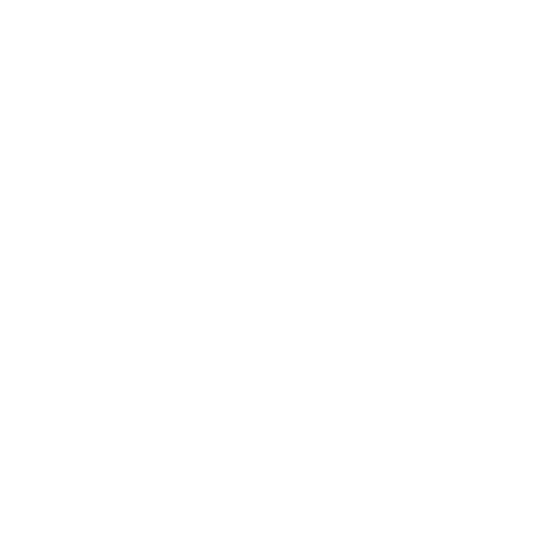 堅(jiān)毅.png